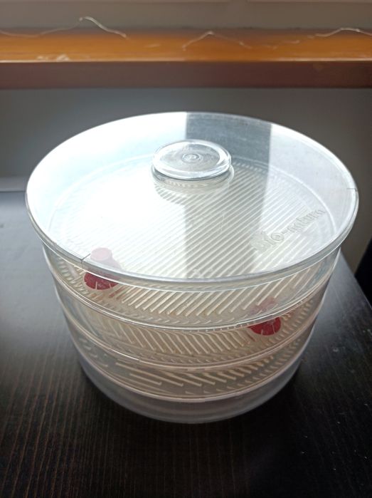 Kiełkownica 3 poziomy