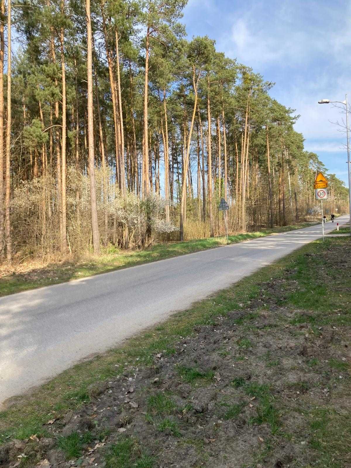 Działka Budowlana Tresta ul. Podlesna 1000 m² Zalew Sulejowski