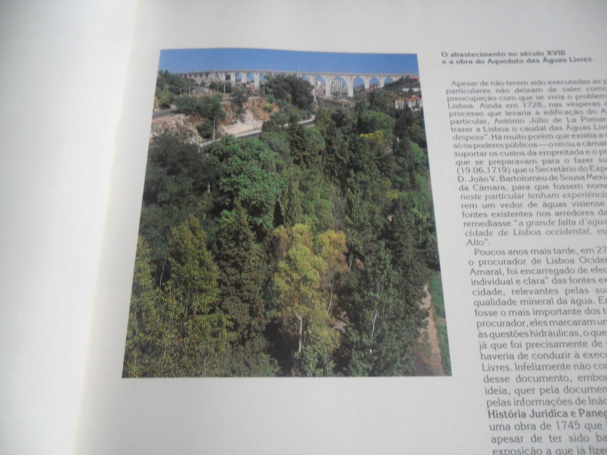"Chafarizes de Lisboa" - Jorge Cruz Silva e Joaquim Caetano-1ª Ed 1991