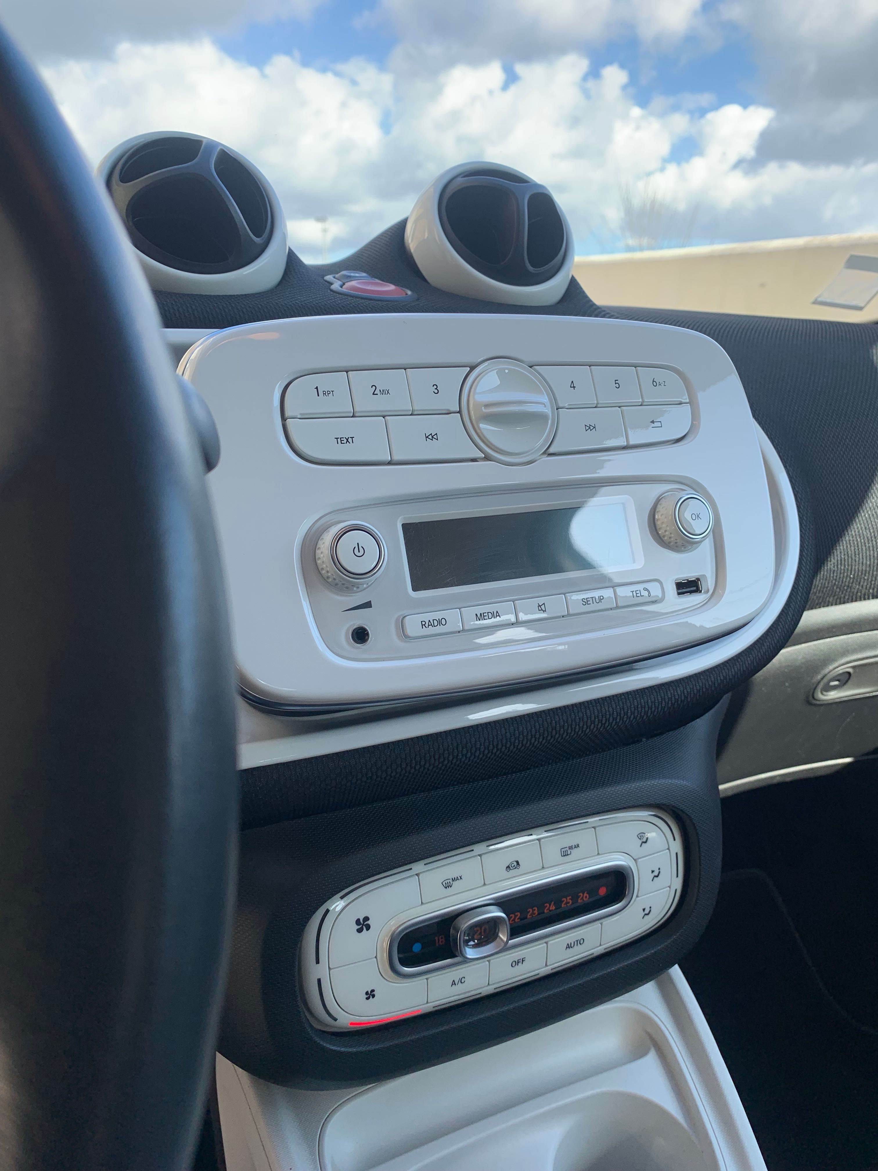 Smart Forfour Passion Impecável