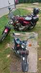 Suzuki gn 125 i rex kat B