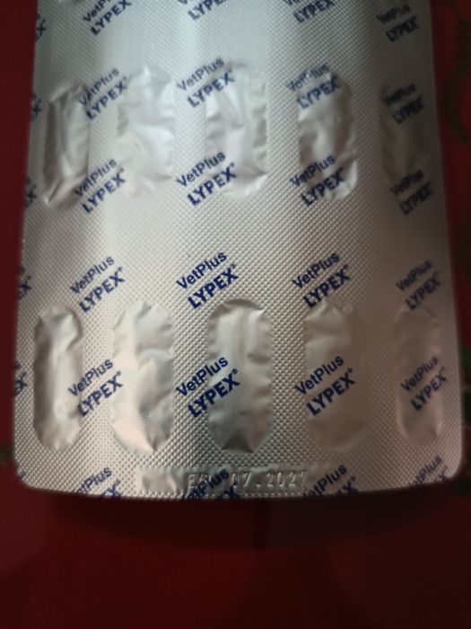 Lypex dla psa i kota