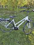 Rower Pegasus 28