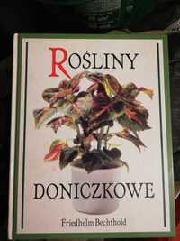 Rośliny doniczkowe książka