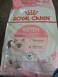 Karma sucha Royal Canin Kitten 10kg kot