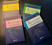 Anatomia Człowieka Moryś Narkiewicz | Tom 1-4