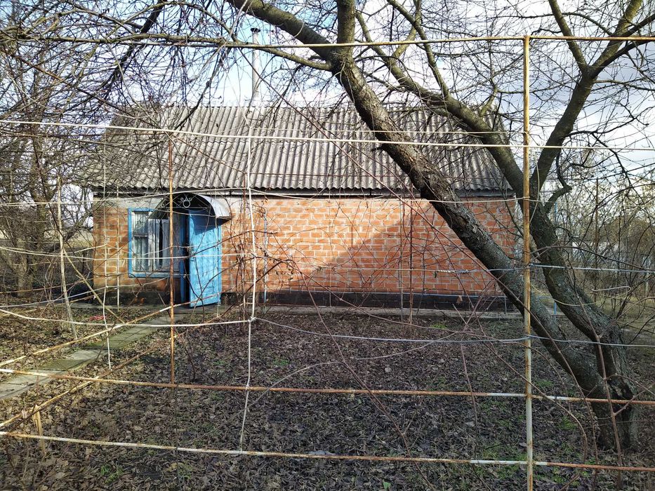 Продам 1/2 дома с земельным участком в с. Петрашёвка Полтавский р-н