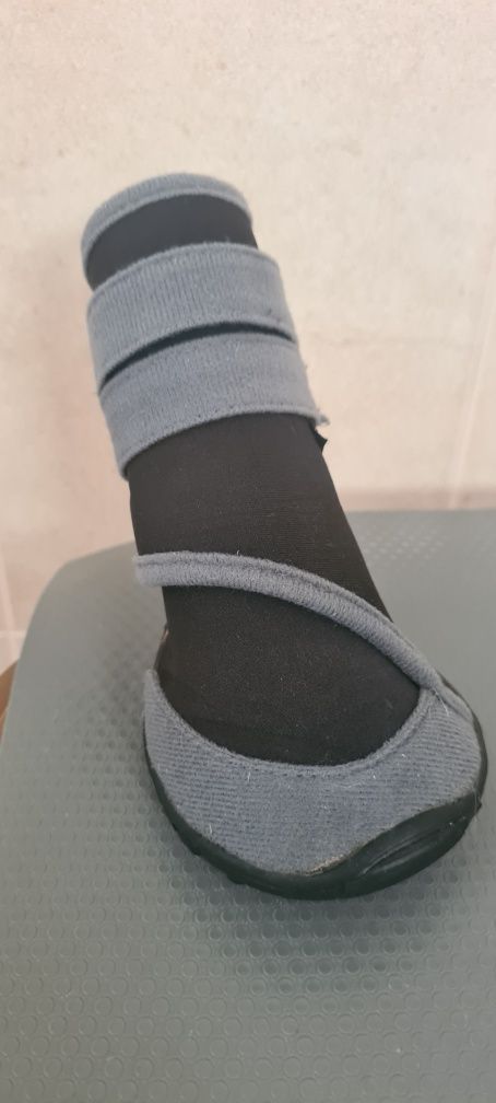Bota protetora veterinaria cao medicina