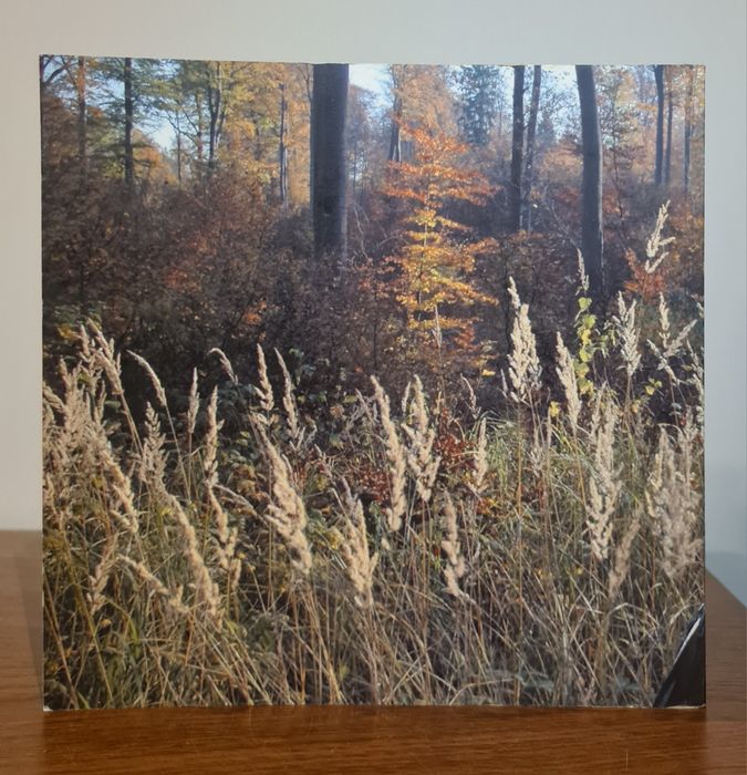 Przywrócić naturze - Książka