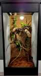 Terrarium 50x50x100 dla kameleona