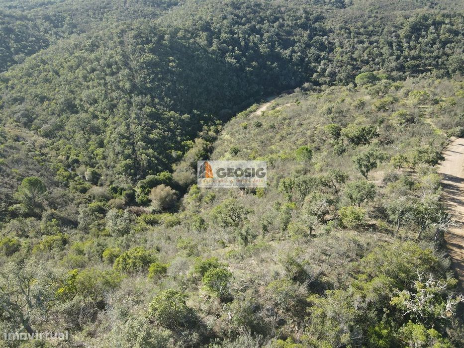 Terreno Rústico  Venda em São Barnabé,Almodôvar