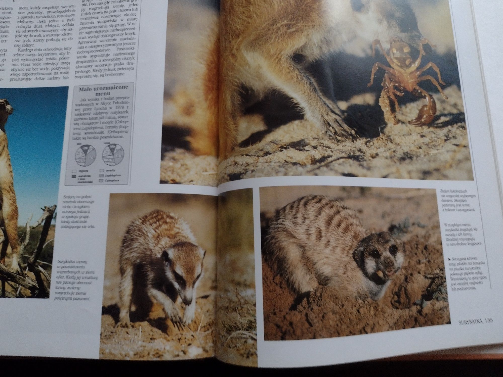 ,,Stepy i pustynie " encyklopedia dzikich zwierząt