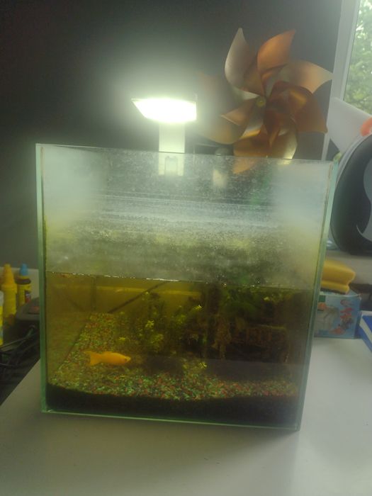 Akwarium z filtrem i lampką