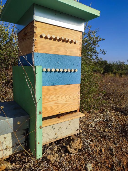 Material Apícola Reversível Usado – 4 Caixas com 10 Quadros Cada