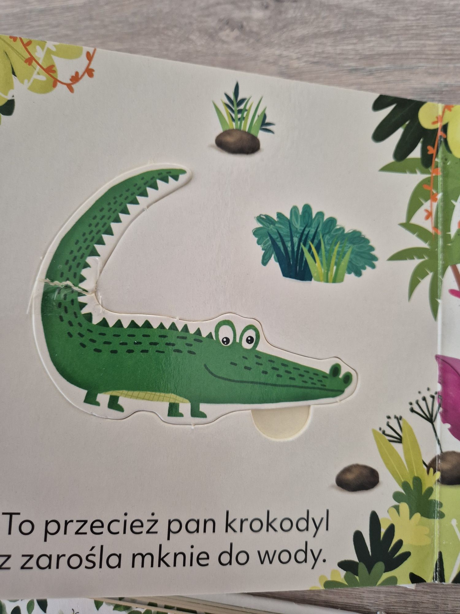 Książki z serii "Krok po kroku" z szablonami