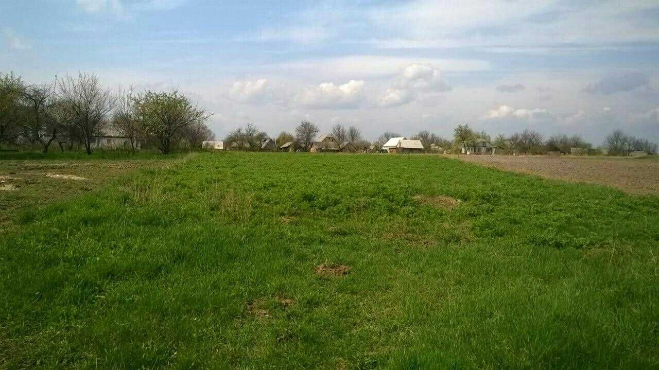 Перша лінія до р. Боровиця, що через 450 метрів впадає в річку Рось