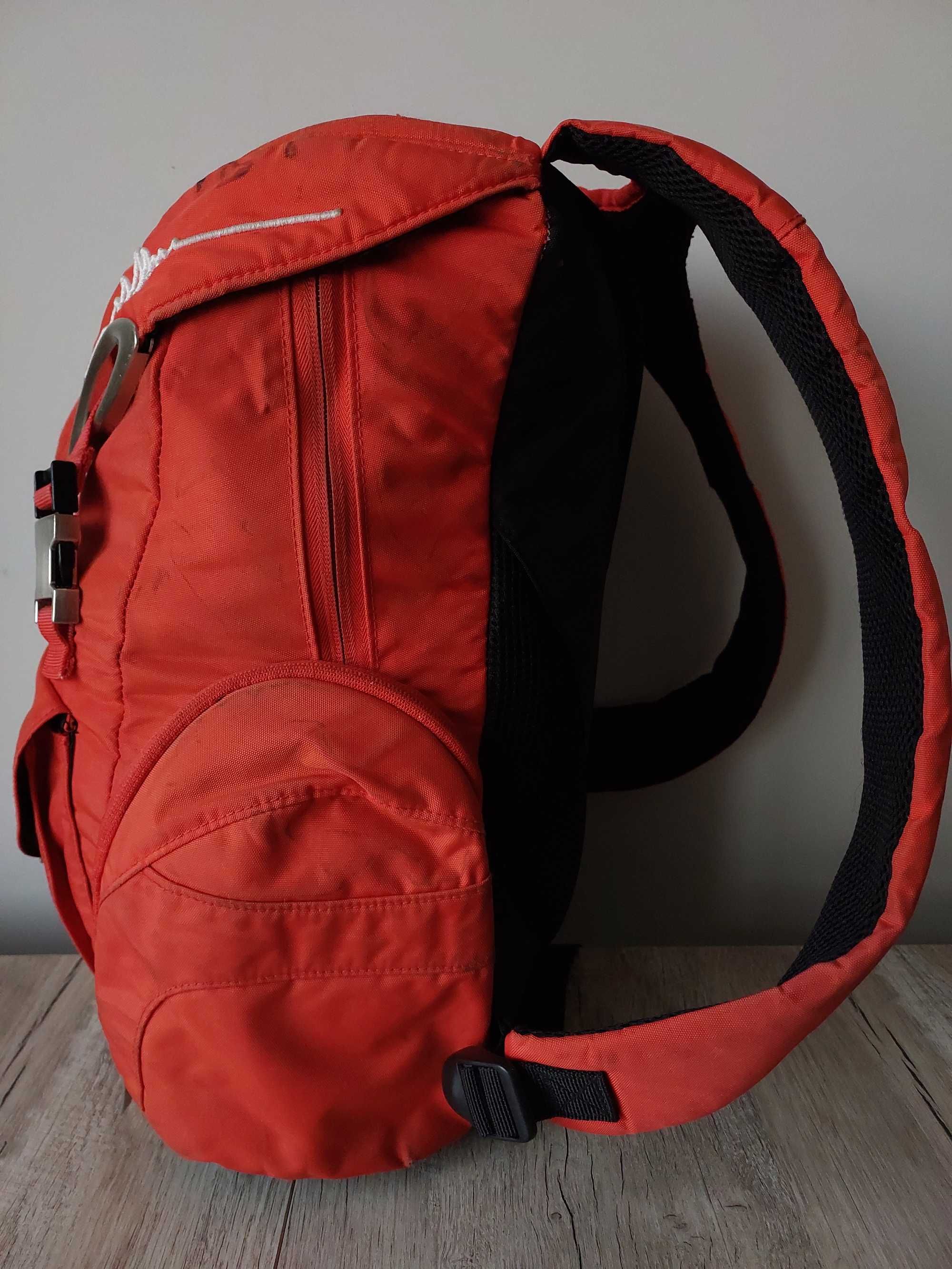 Вінтажний рюкзак Ferrari Gear Backpack Red Vintage