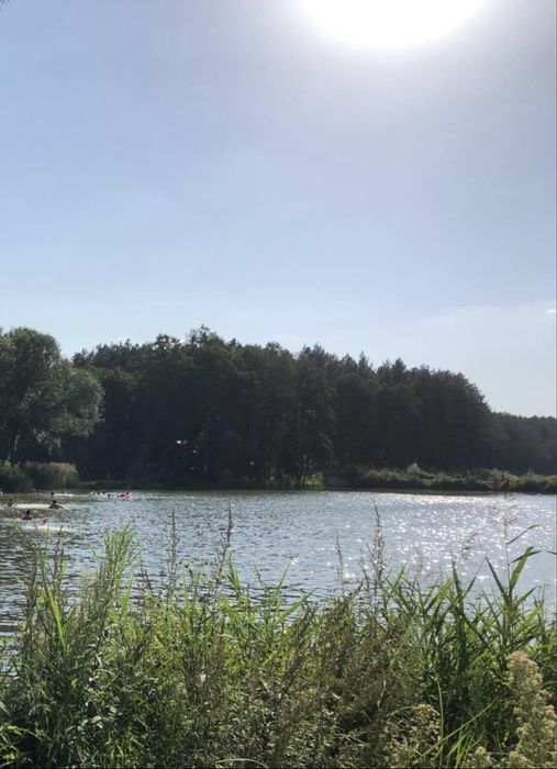 Земельна ділянка біля озера с. Верхів