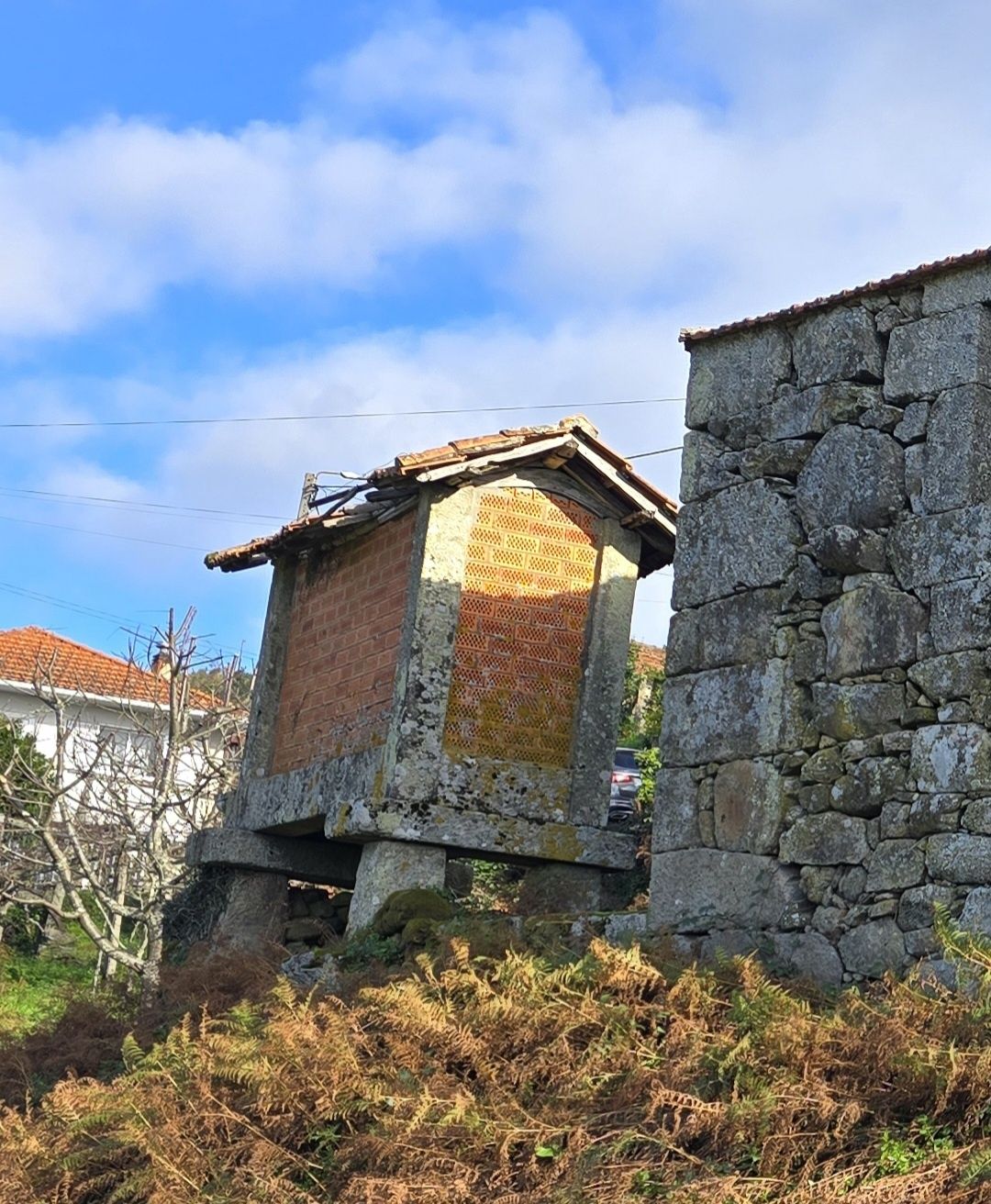 Espigueiro / Canastro