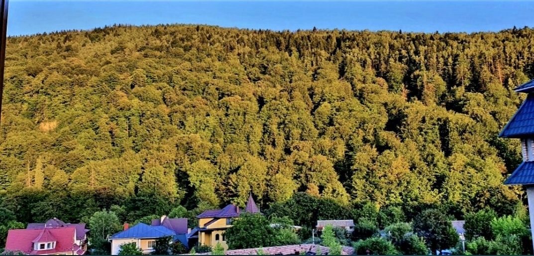 Квартира в горах!
