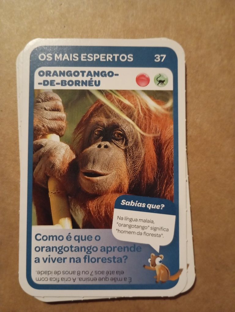 Cartas super animais - vida selvagem