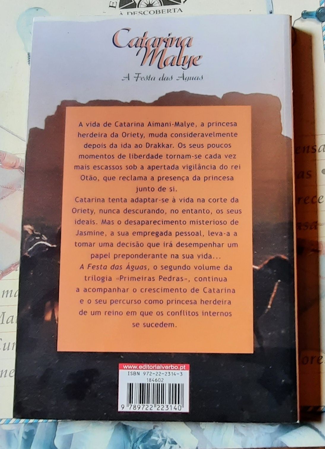 Livro A Festa das Águas de Margarida Góis