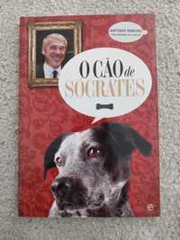 O cão de Sócrates