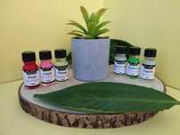 Pack 6 Óleos Fragrância