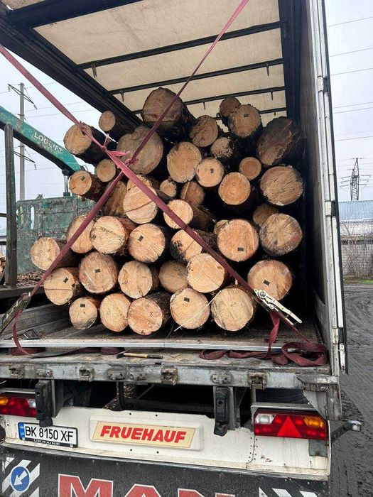 Ліс сосновий кругляк свіжопиляний