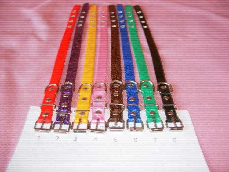 Obroża dla psa 10 mm/32 cm  Taśma nowa 1 sztuka