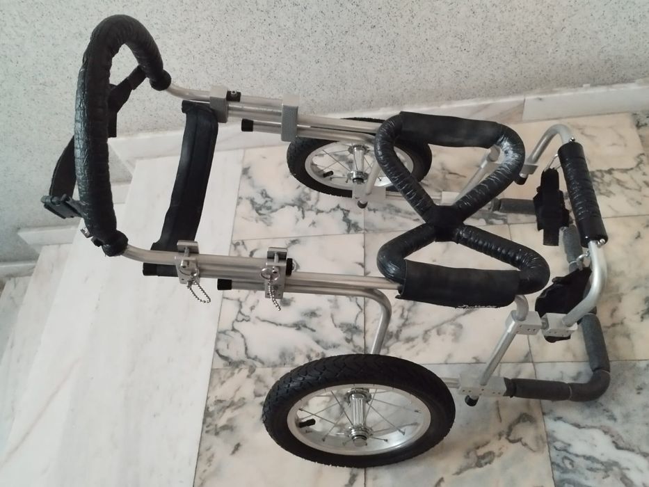 Cadeira de rodas para cão.
