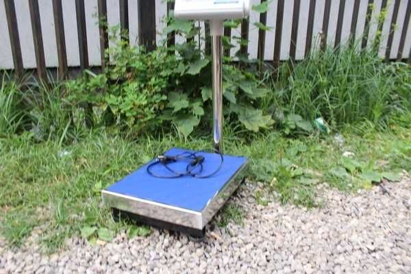 WAGA MAGAZYNOWA SKLEPOWA 40x50 LCD 300KG mamy też kuchenki turystyczne