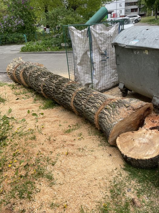 Корчевание пней, рубаем дрова, распил на чурки, распил на доски, слеб