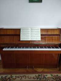Pianino  Calisia