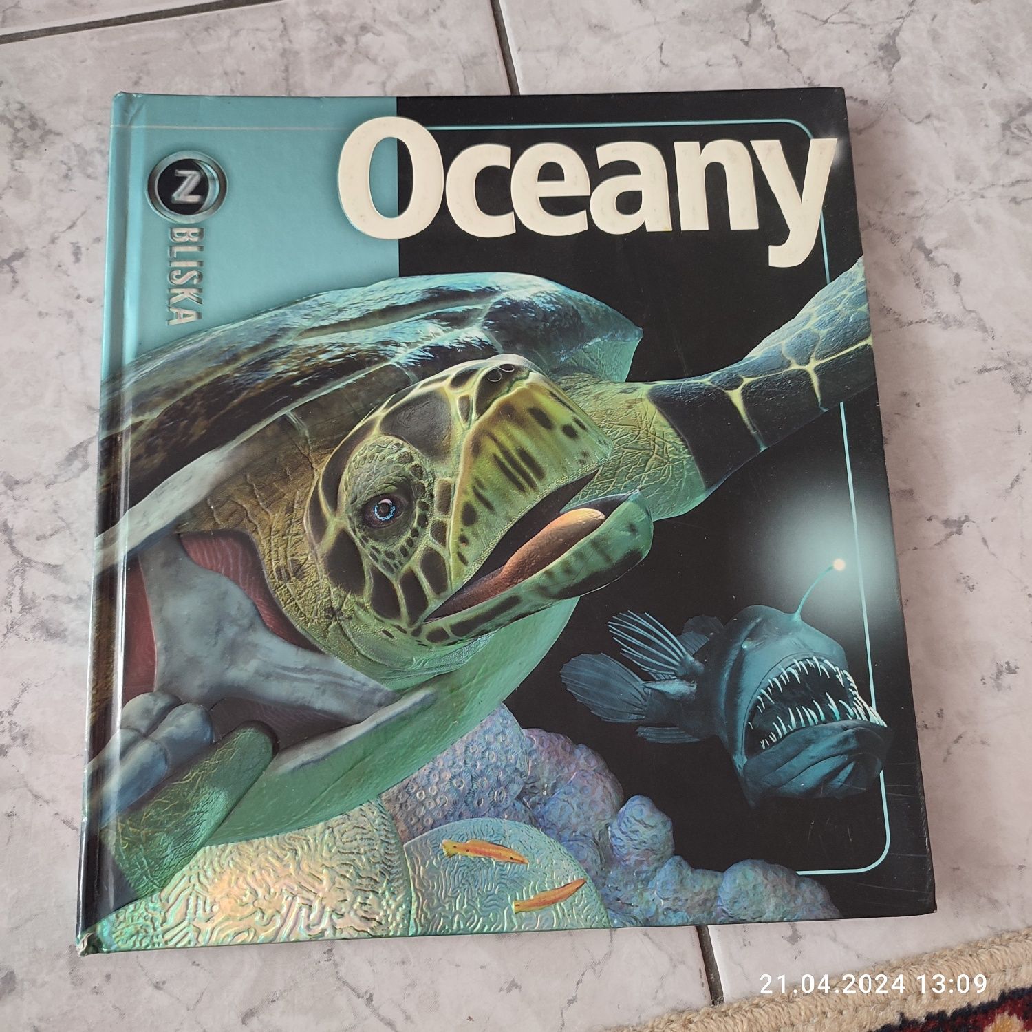Encyklopedia Oceany, oprawka błyszcząca wypukła twarda.