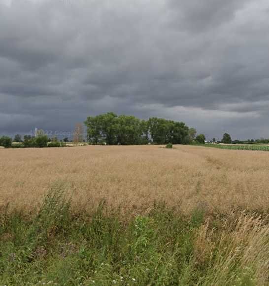 Sprzedam gospodarstwo rolne - Kowalewo Sołectwo, Wielkopolska