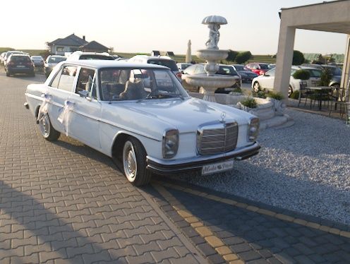 Mercedes zabytkowe Auto. Samochód do ślubu