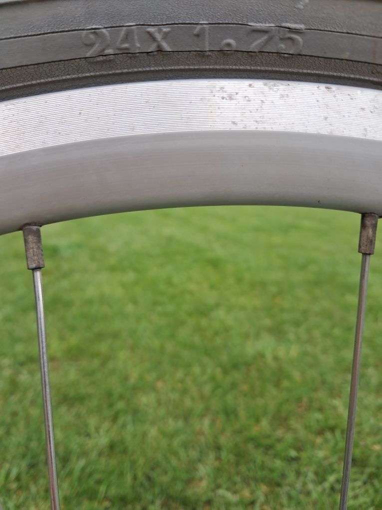 BATAVUS Diva 24"