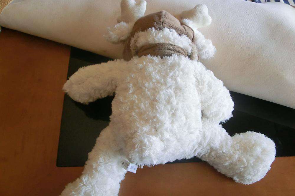 peluche rena novo e fofinho