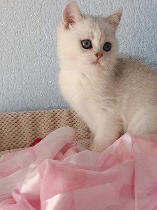 Пухнастий антистресик