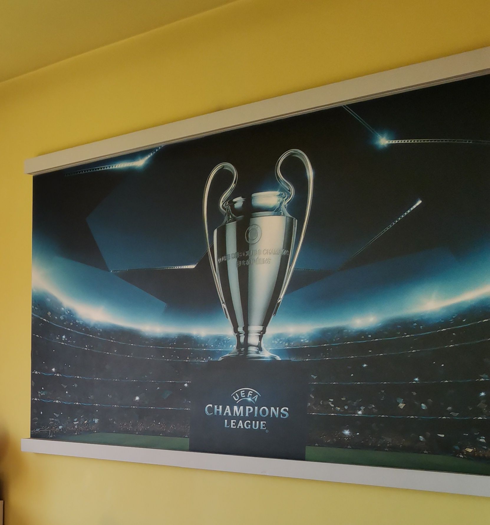 Tapeta na flizelinie do pokoju dziecka Liga mistrzów puchar