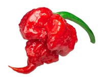 6 Sementes Pimenta Carolina Reaper Red