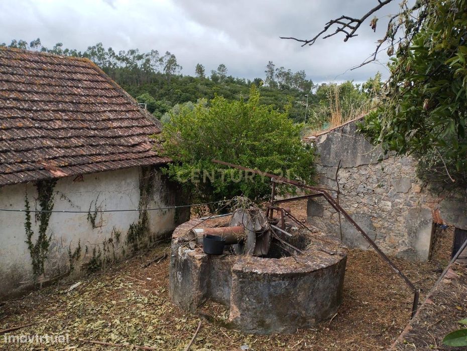 Prédio Misto com 1.834m² em Almoster – Com Adega, Terreno, Poço e Tanq