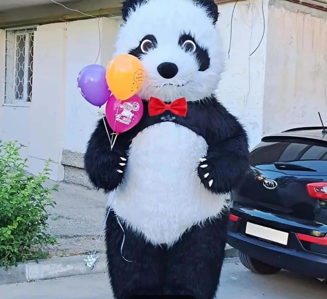 Żywe maskotki panda i Stitch
