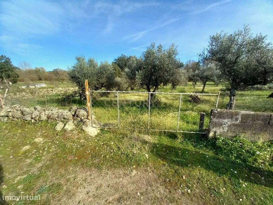Terreno Rústico Póvoa de Rio de Moinhos, Castelo Branco