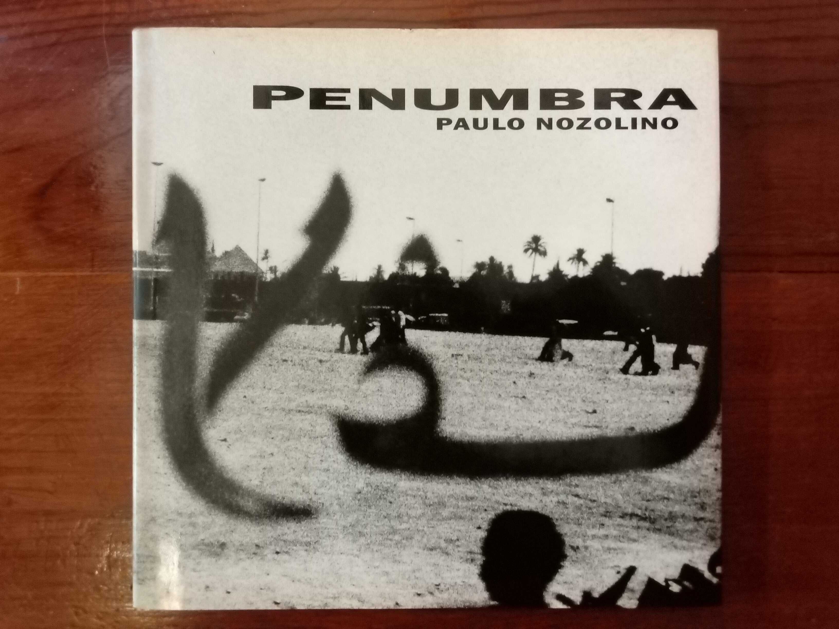 Paulo Nozolino - Penumbra