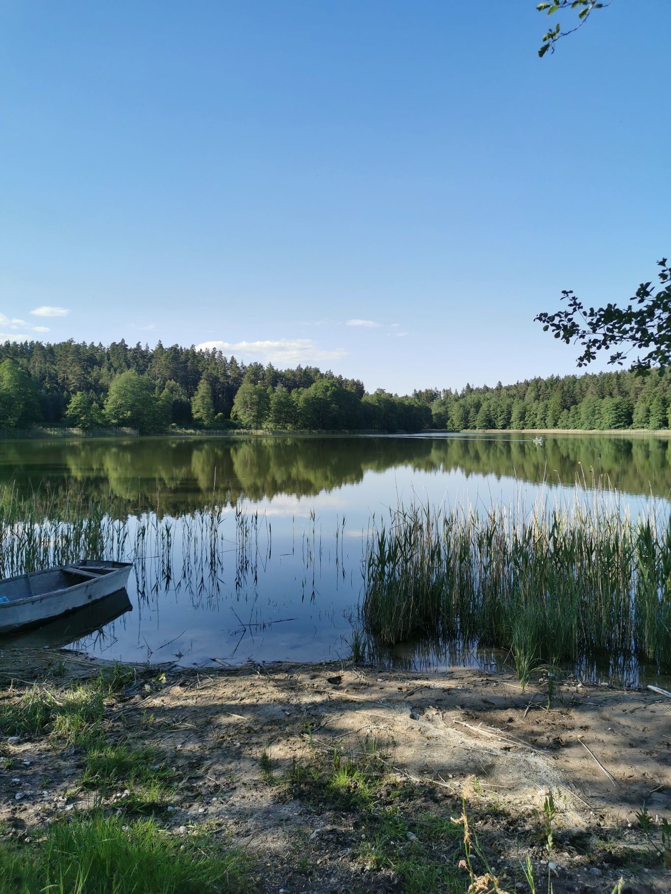 Działka nad jeziorem w dolinie Rospudy, Bakałarzewo , Suwalszczyzna