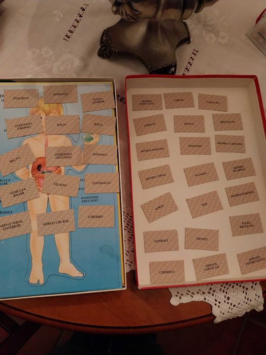 Jogo de tabuleiro, Anatomia, da Majora, 6-9 anos, 1-4 jogadores