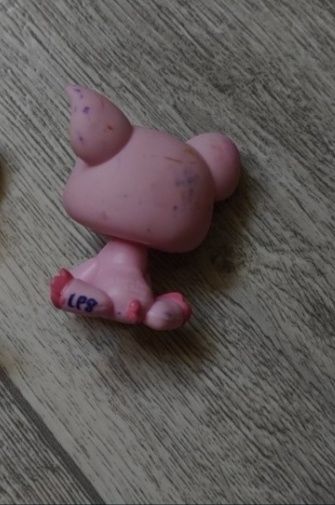 Littlest pet shop