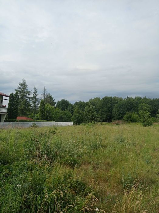 Działka na sprzedaż - ŁAPY